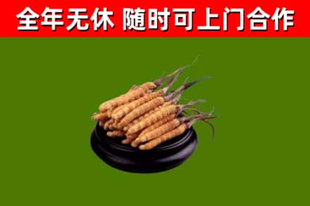 木里县烟酒回收冬虫夏草.jpg